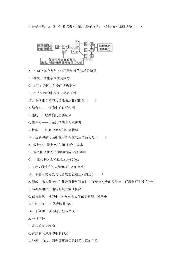 2019-2020年高一生物10月阶段性测试试题无答案.doc_第3页