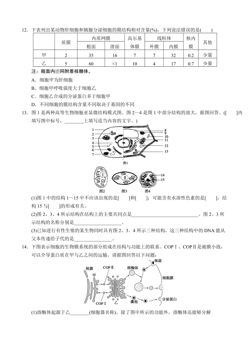 2019-2020年高三生物二轮专题复习卷 专题一　细胞的分子组成和结构 第2讲　细胞的结构.doc_第3页