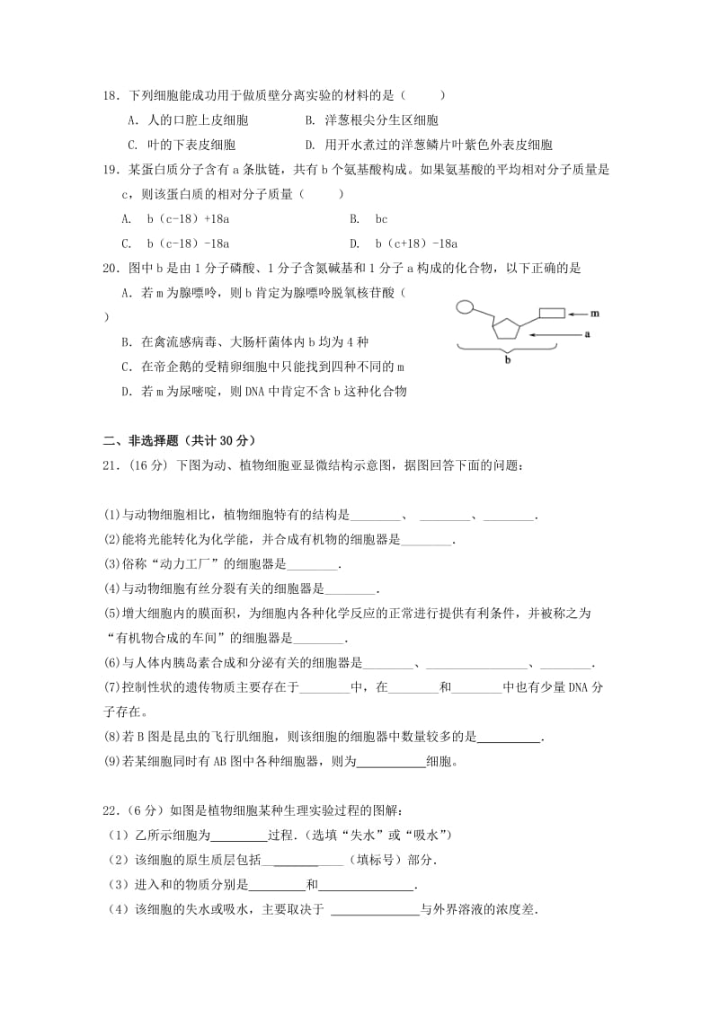 2019-2020年高一生物11月月考试题(I).doc_第3页