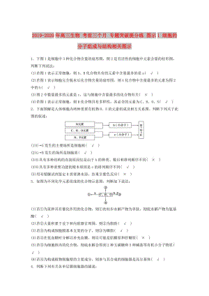 2019-2020年高三生物 考前三個(gè)月 專題突破提分練 圖示1 細(xì)胞的分子組成與結(jié)構(gòu)相關(guān)圖示.doc