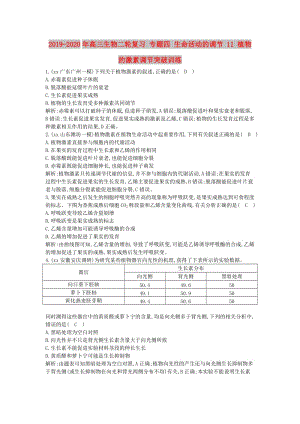 2019-2020年高三生物二輪復(fù)習(xí) 專題四 生命活動的調(diào)節(jié) 11 植物的激素調(diào)節(jié)突破訓(xùn)練.doc