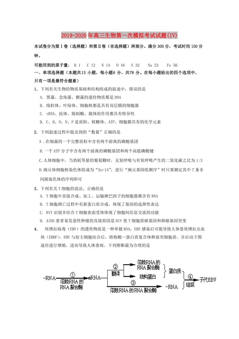 2019-2020年高三生物第一次模拟考试试题(IV).doc_第1页