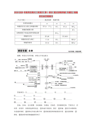 2019-2020年高考生物大二輪復習 第1部分 重點講練突破 專題五 細胞的生命歷程練習.doc