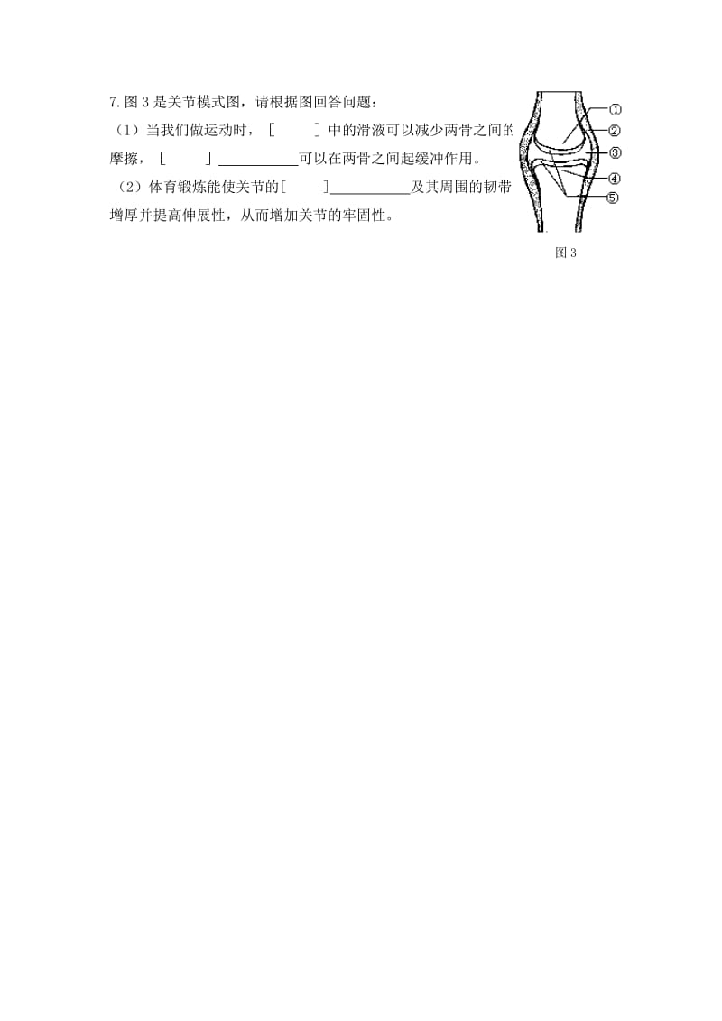 2019-2020年八年级人教版生物上册课时作业：5.2.1动物的运动.doc_第2页