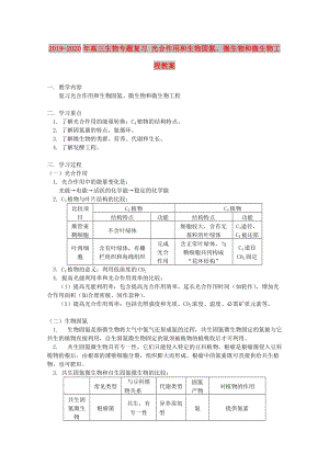 2019-2020年高三生物專題復(fù)習(xí) 光合作用和生物固氮、微生物和微生物工程教案.doc