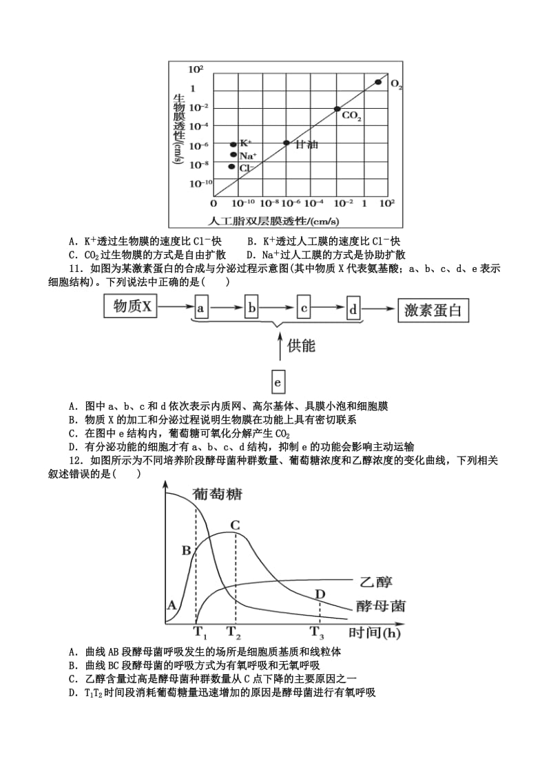 2019-2020年高三上学期第二次检测（11月）考试生物试题.doc_第3页