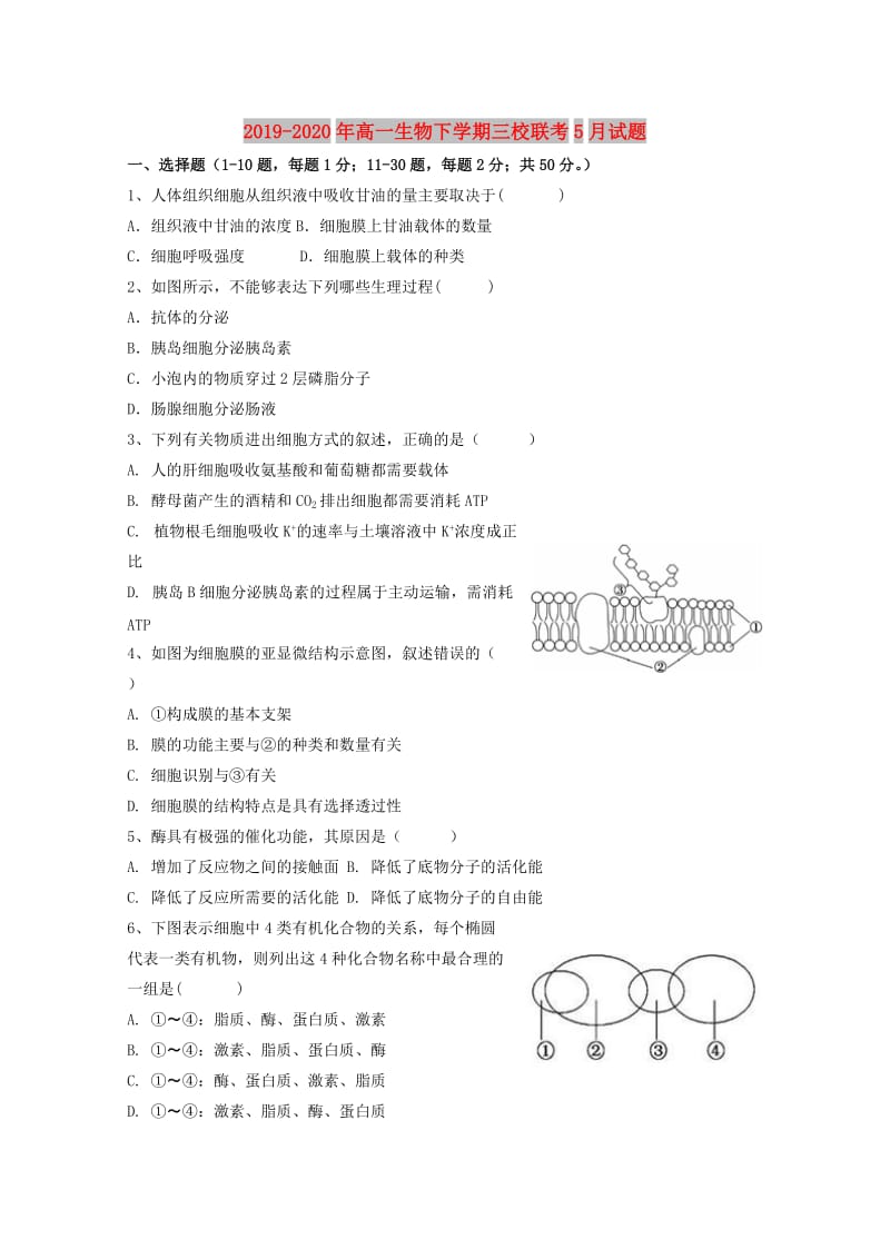 2019-2020年高一生物下学期三校联考5月试题.doc_第1页