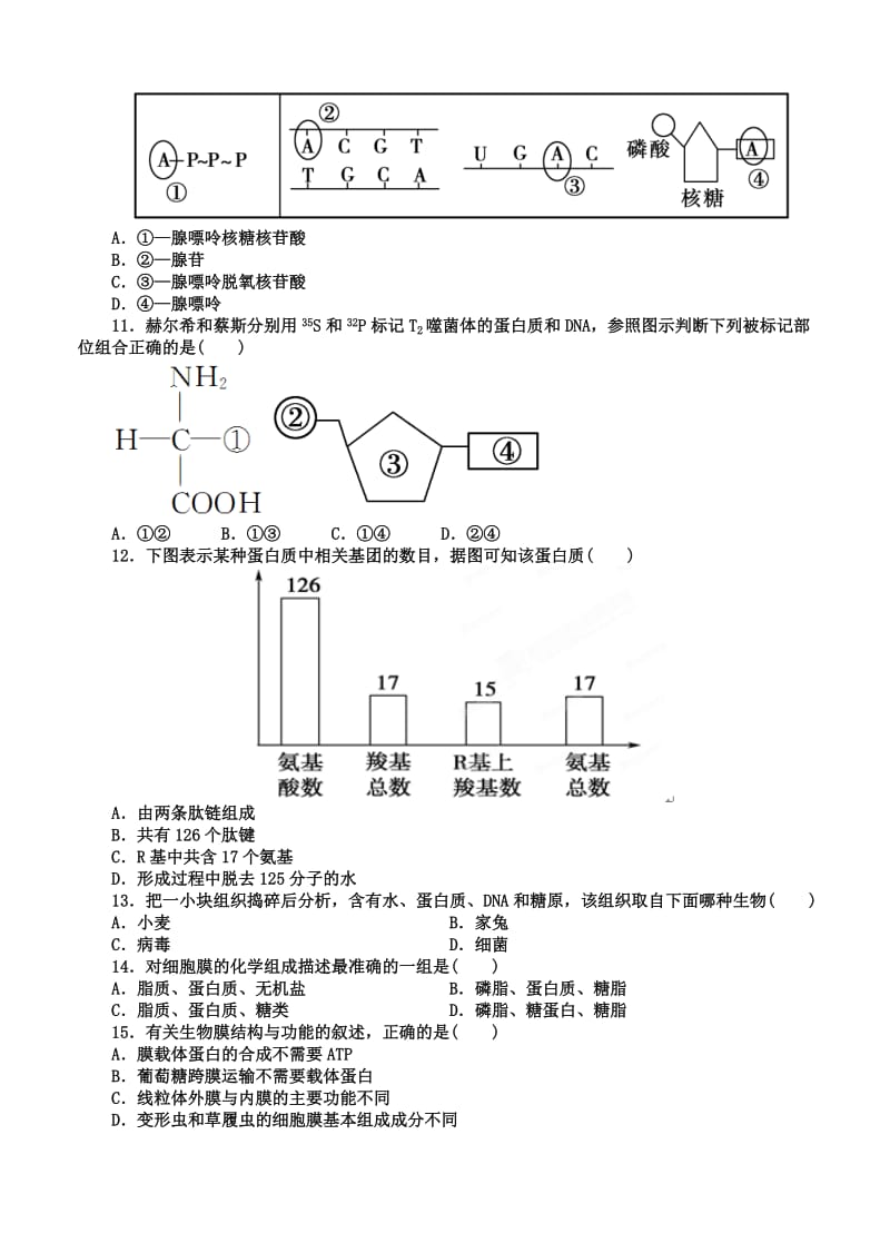 2019-2020年高三上学期第一次（10月）检测生物试题.doc_第3页