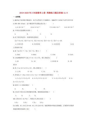 2019-2020年八年級數(shù)學(xué)上冊 周測練習(xí)題及答案12.9.doc