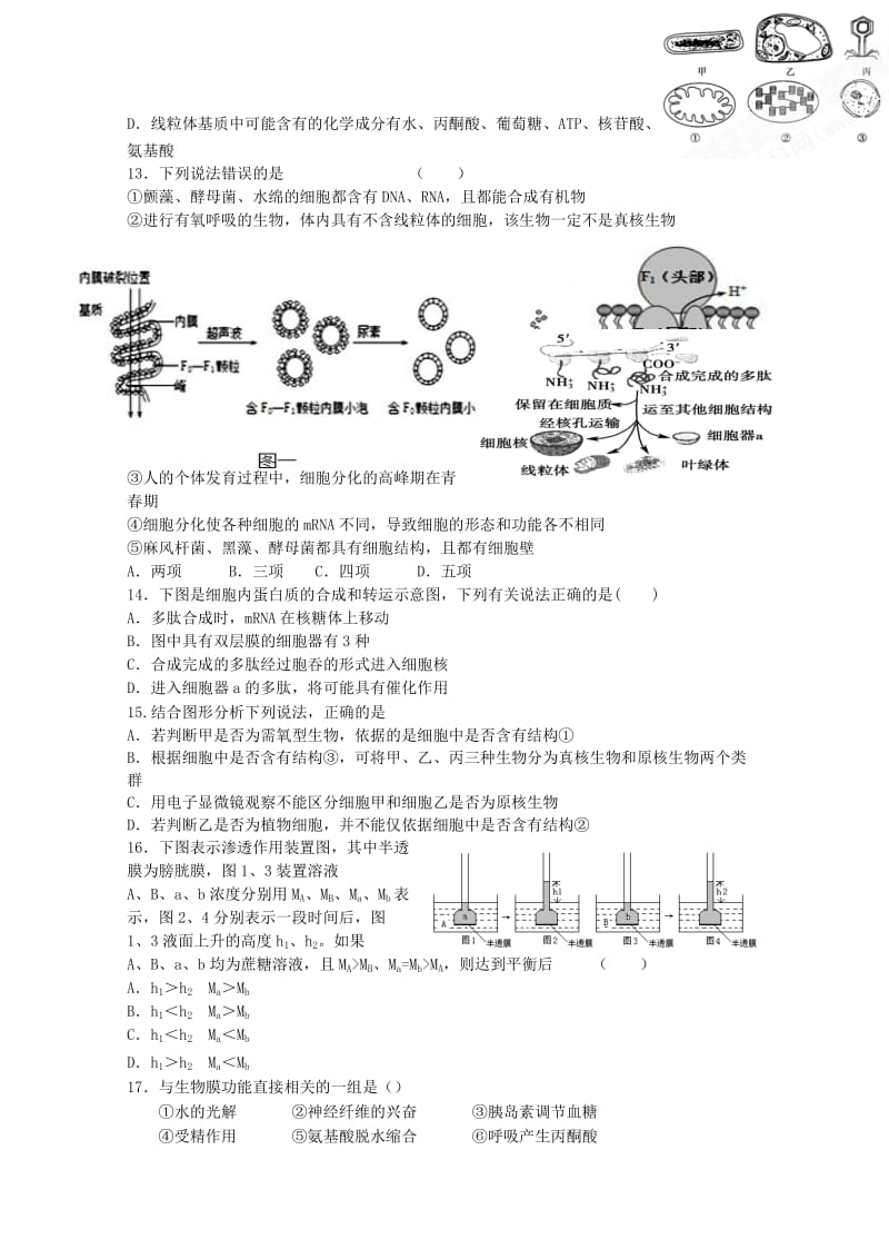 2019-2020年高三生物上学期第一次月考试题(III).doc_第3页