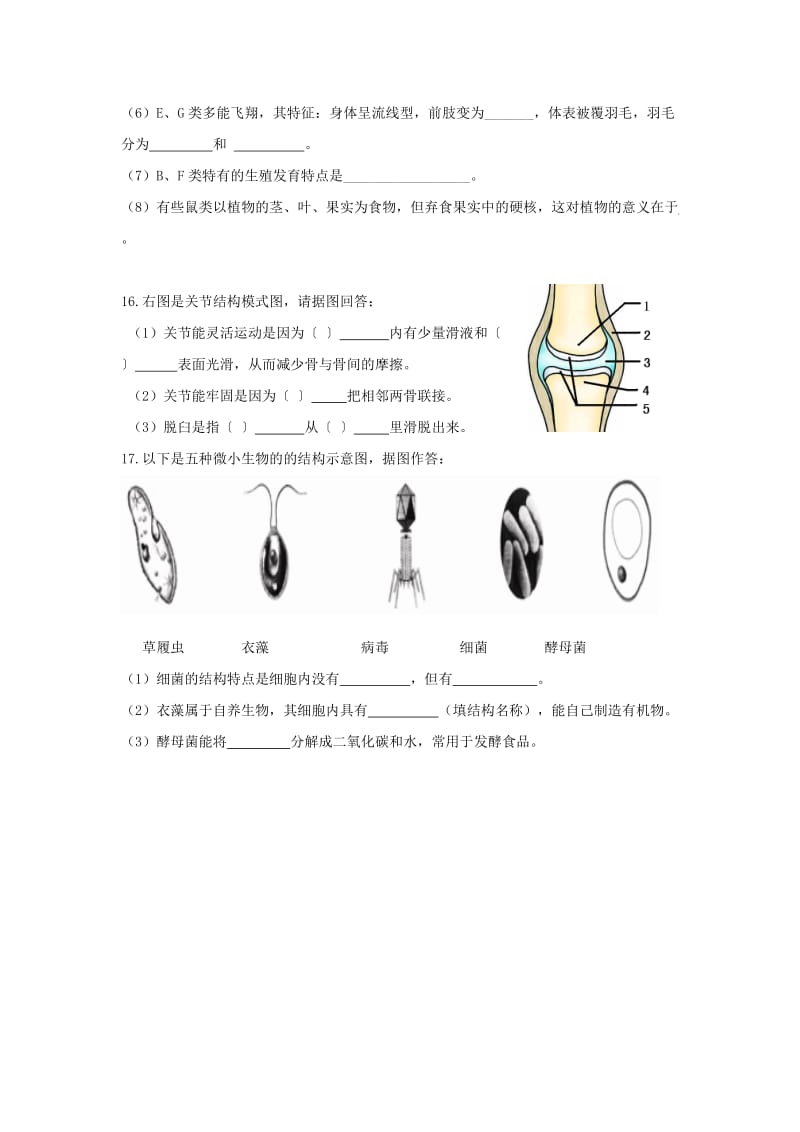 2019-2020年八年级生物上学期期中试题 新人教版(II).doc_第3页