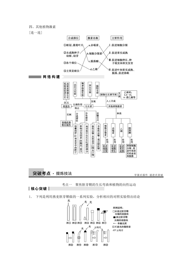 2019-2020年高考生物一轮（回扣基础+核心突破+命题探究）8.30植物的激素调节教学案 新人教版.doc_第3页