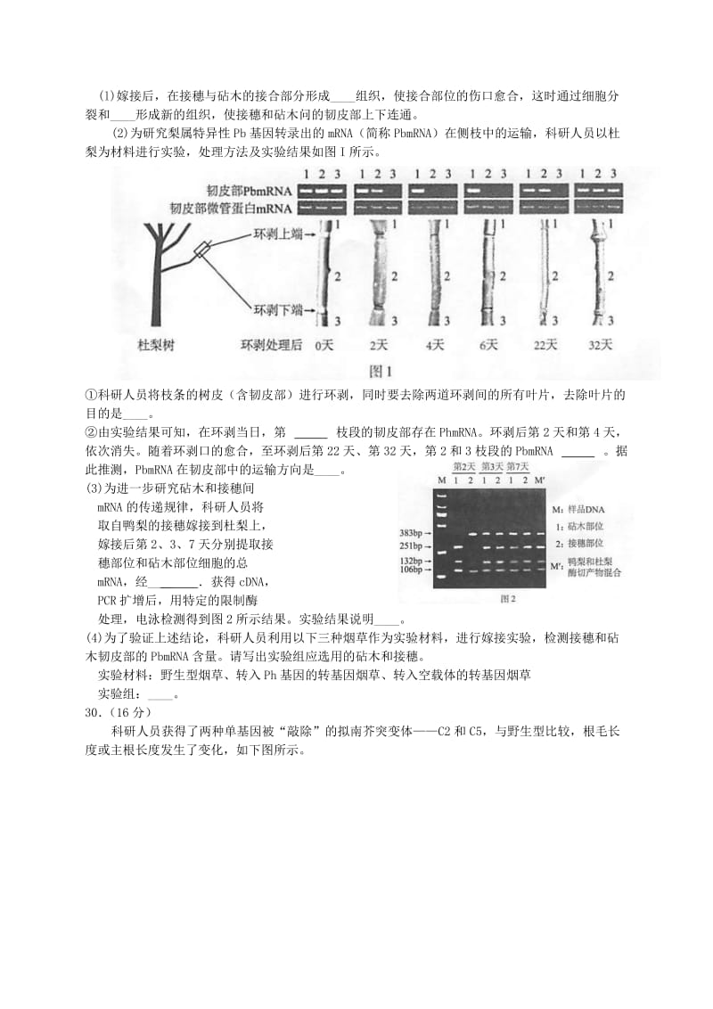 2019-2020年高三生物5月期末练习二模试题.doc_第2页