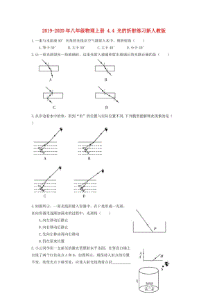 2019-2020年八年級物理上冊 4.4 光的折射練習(xí)新人教版.doc