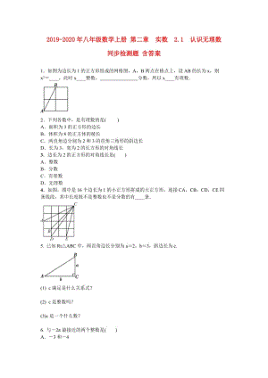 2019-2020年八年級數(shù)學(xué)上冊 第二章　實(shí)數(shù) 2.1　認(rèn)識無理數(shù) 同步檢測題 含答案.doc