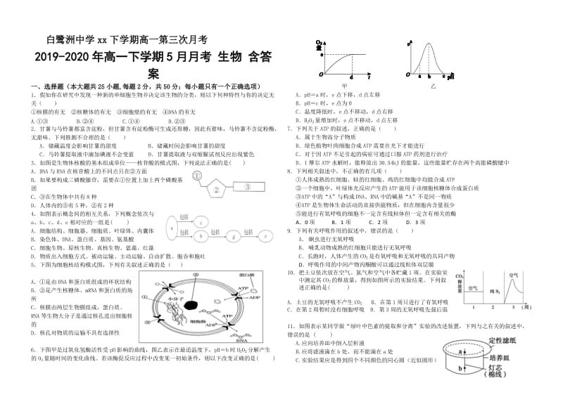 2019-2020年高一下学期5月月考 生物 含答案.doc_第1页