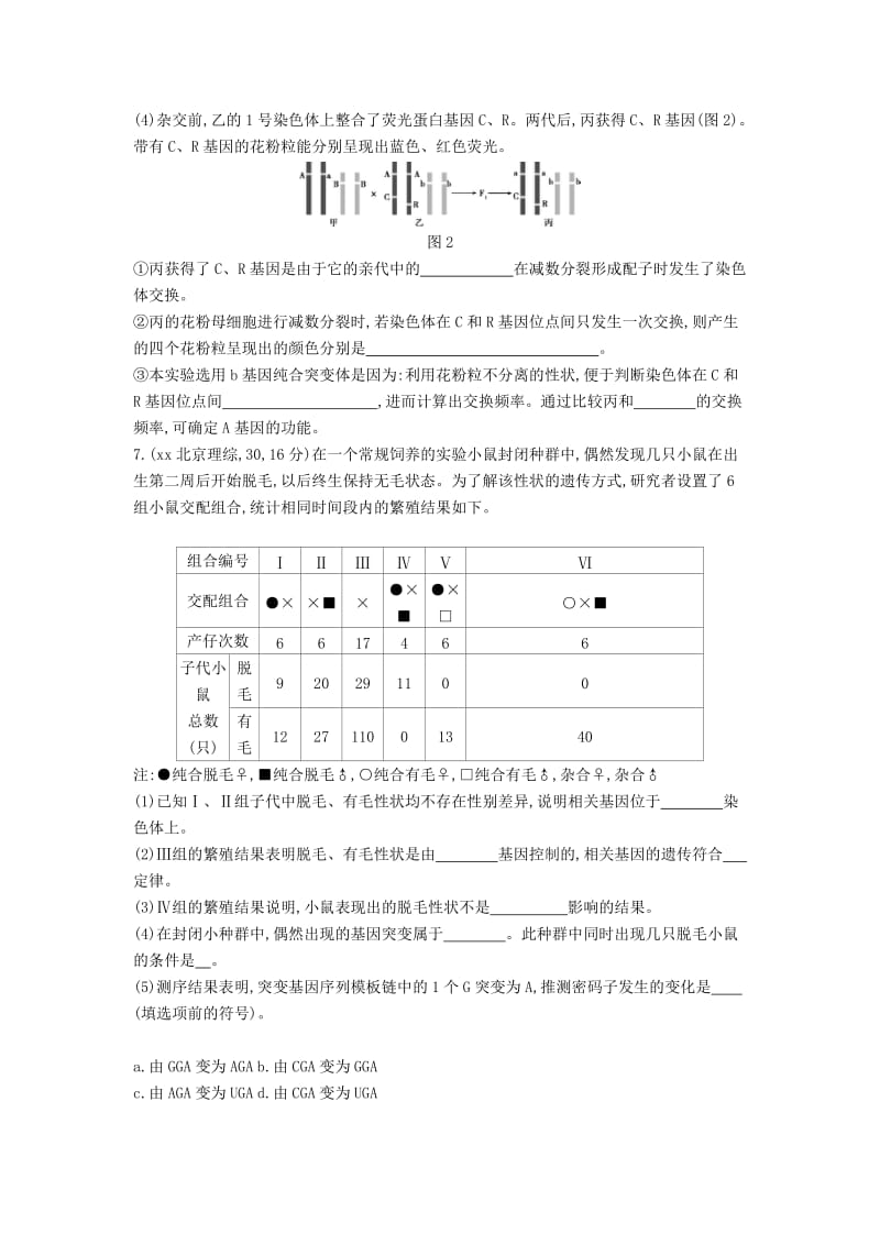 2019-2020年高三生物第一轮复习 第6单元 第18讲 基因突变与基因重组试题 新人教版(I).doc_第3页