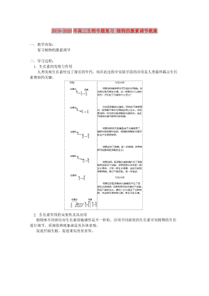 2019-2020年高三生物專(zhuān)題復(fù)習(xí) 植物的激素調(diào)節(jié)教案.doc