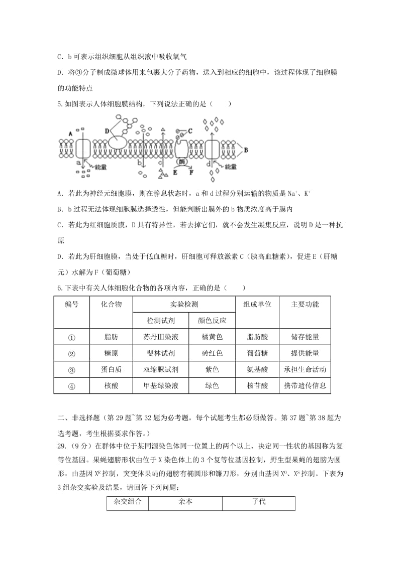 2019-2020年高三生物下学期第一次模拟考试试题(IV).doc_第2页