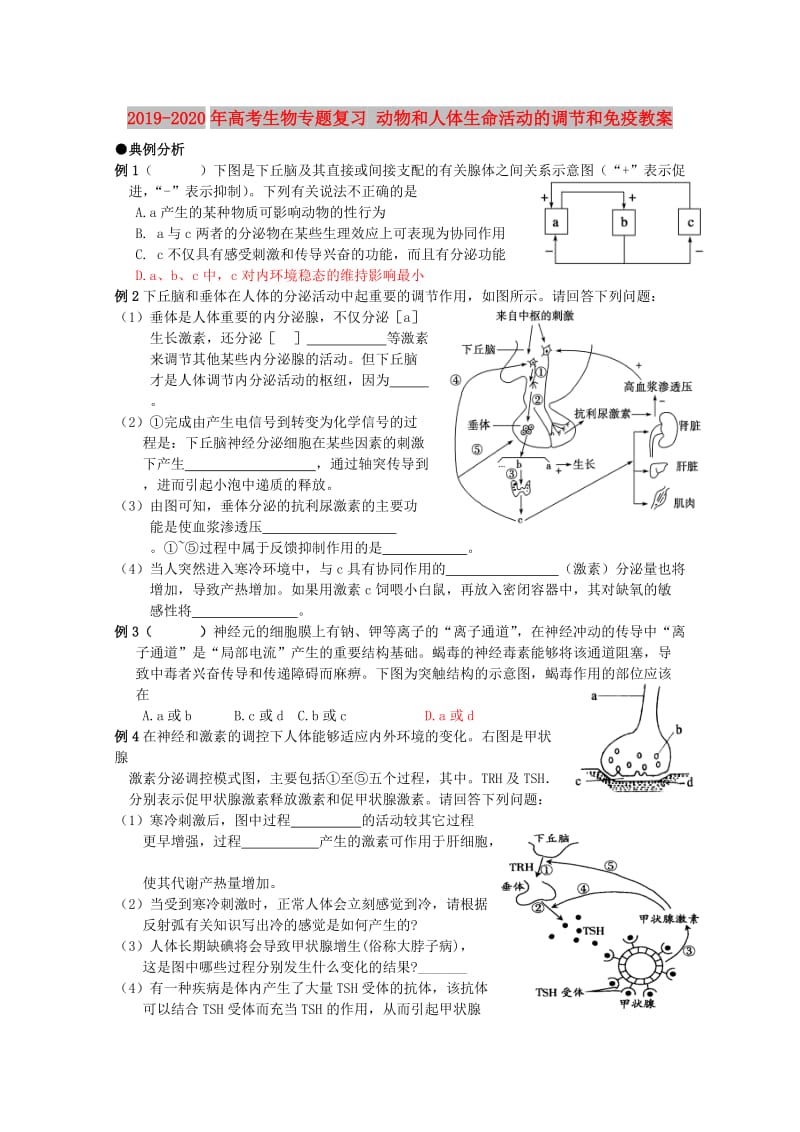 2019-2020年高考生物专题复习 动物和人体生命活动的调节和免疫教案.doc_第1页