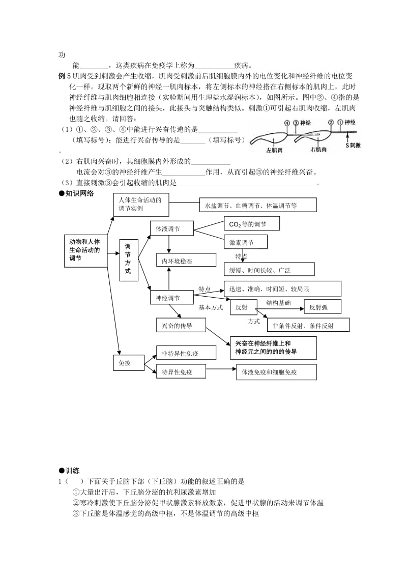 2019-2020年高考生物专题复习 动物和人体生命活动的调节和免疫教案.doc_第2页