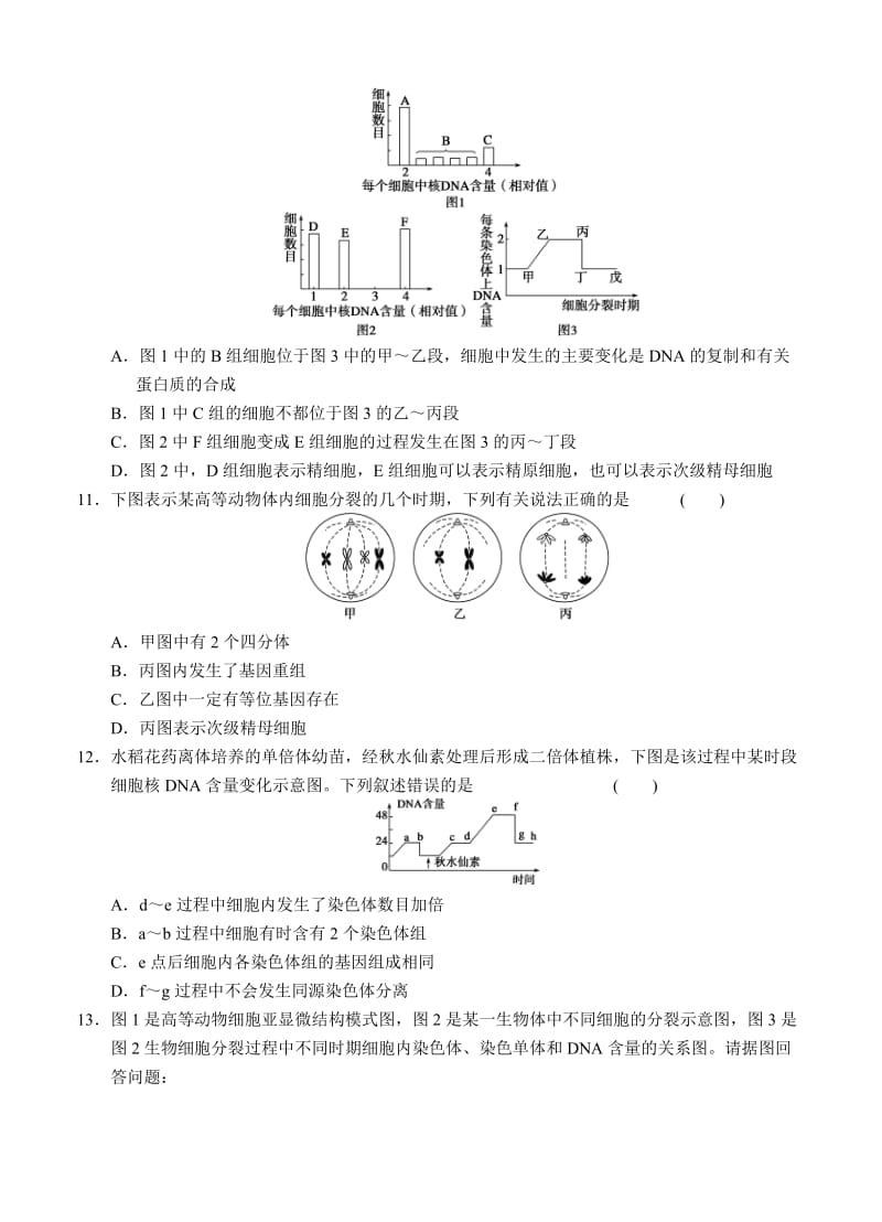 2019-2020年高三生物二轮专题复习卷 专题三　细胞的生命历程 第1讲　细胞的增殖和受精作用.doc_第3页