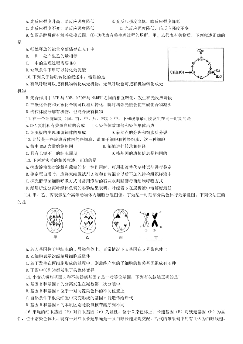 2019-2020年高三生物上学期期末考试试题(VIII).doc_第2页