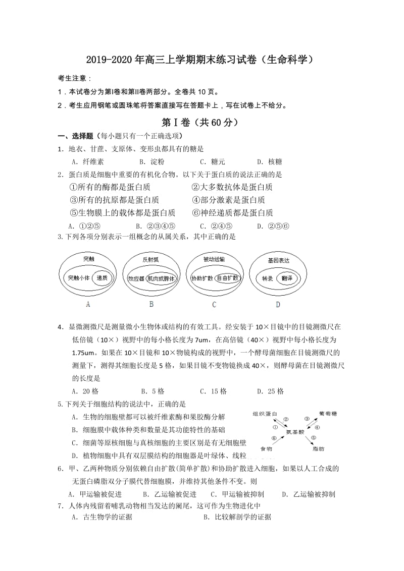 2019-2020年高三上学期期末练习试卷（生命科学）.doc_第1页