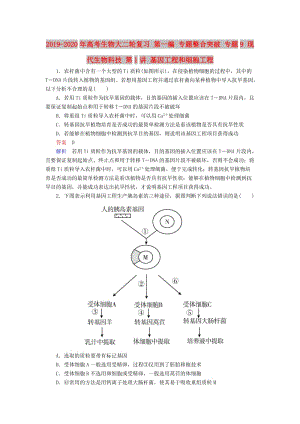 2019-2020年高考生物大二輪復習 第一編 專題整合突破 專題9 現(xiàn)代生物科技 第1講 基因工程和細胞工程.doc