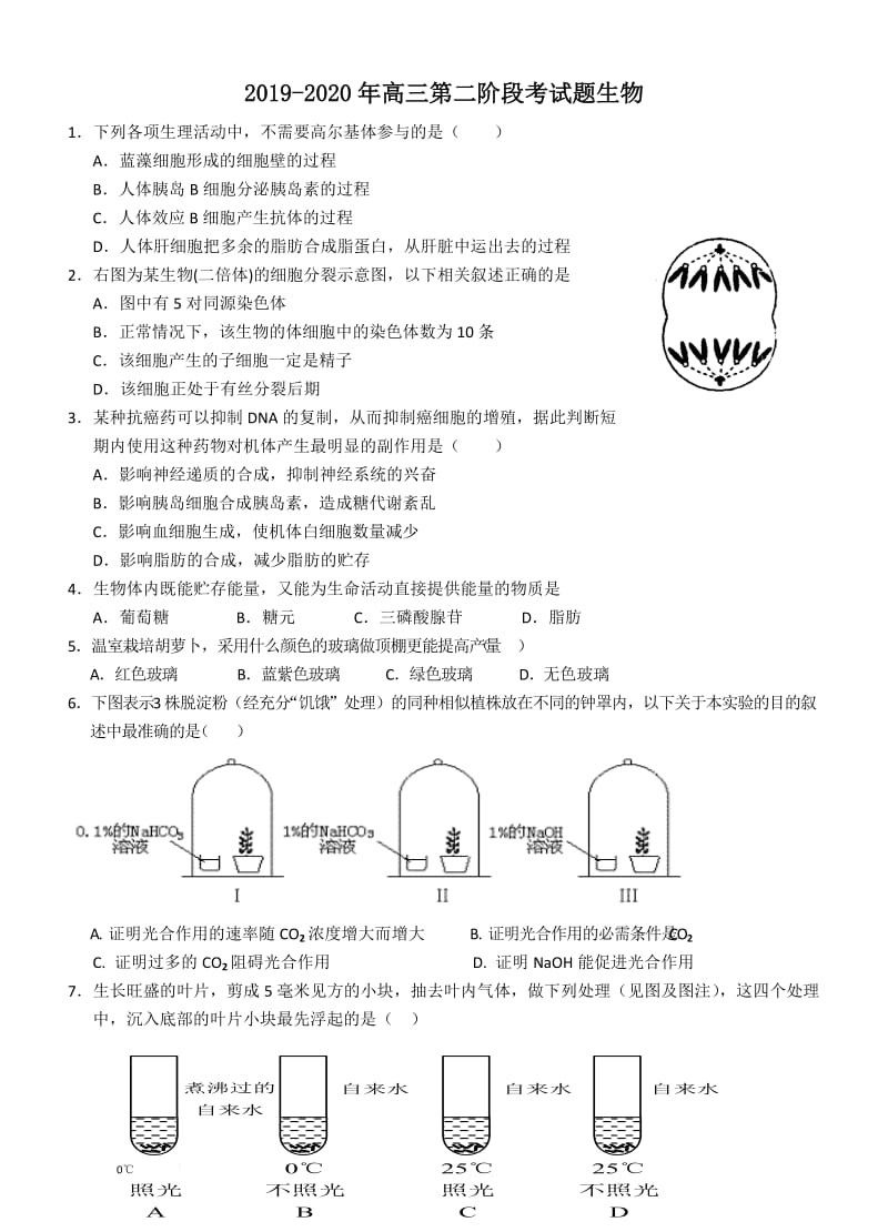 2019-2020年高三第二阶段考试题生物.doc_第1页