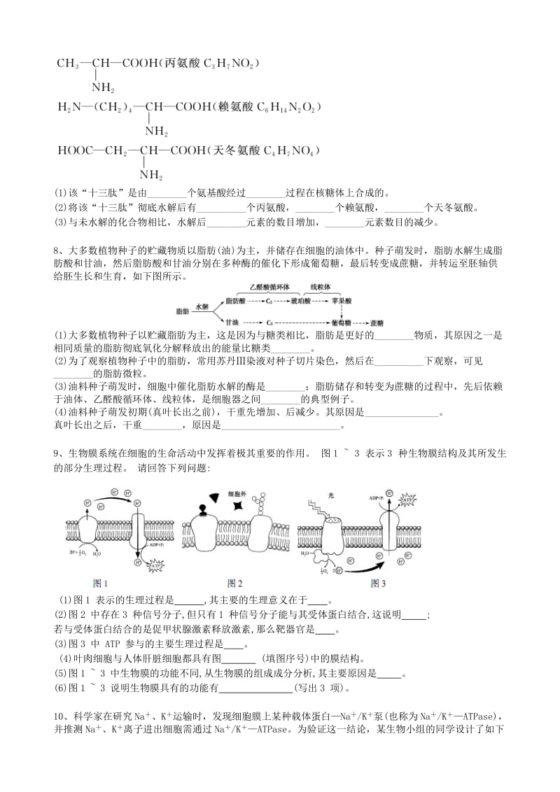 2019-2020年高三生物一轮复习 寒假作业1 专题一 细胞的结构和功能.doc_第2页