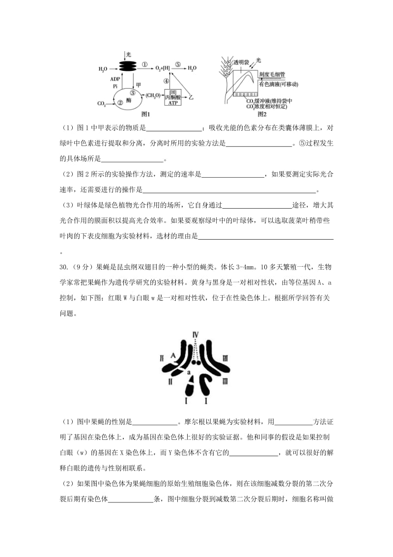 2019-2020年高三生物下学期第三次模拟考试试题.doc_第3页