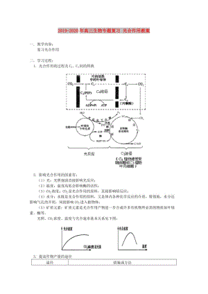 2019-2020年高三生物專題復(fù)習(xí) 光合作用教案.doc