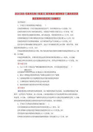 2019-2020年高考生物一輪復習 高考集訓+題型特訓7 遺傳變異原理在育種中的應用（含解析）.doc