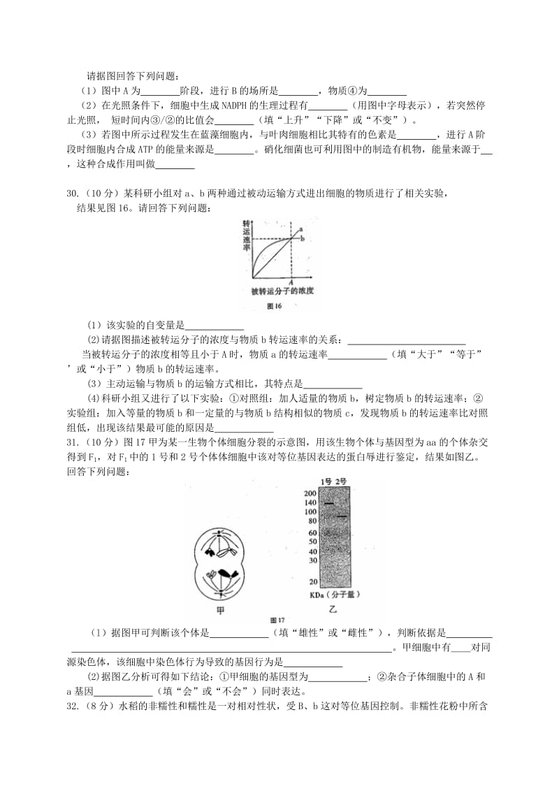 2019-2020年高三生物上学期适应性月考试题（四）.doc_第2页