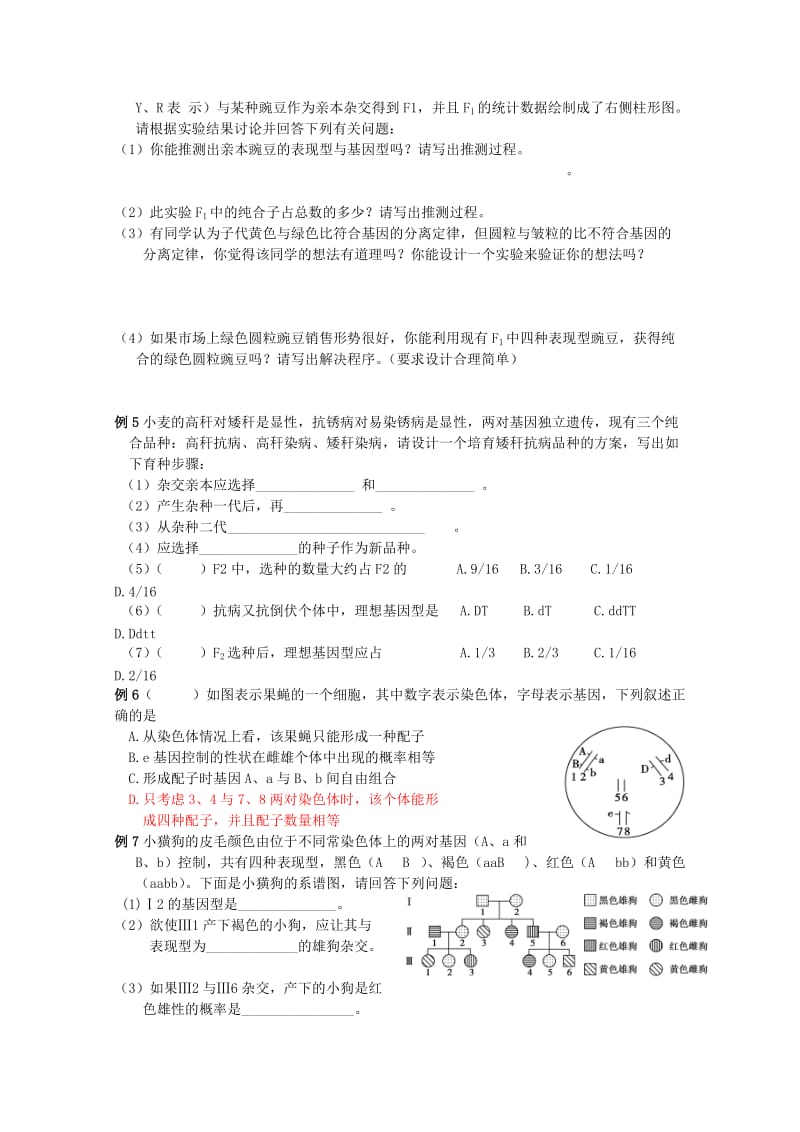 2019-2020年高考生物专题复习 遗传的基本规律专题教案.doc_第2页