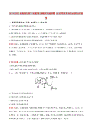 2019-2020年高考生物二輪復習 專題能力提升練11 動物和人體生命活動的調節(jié).doc