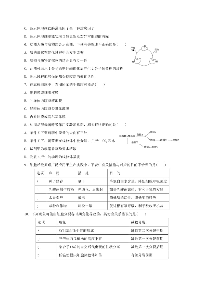 2019-2020年高三生物上学期期末考试试题(III).doc_第2页