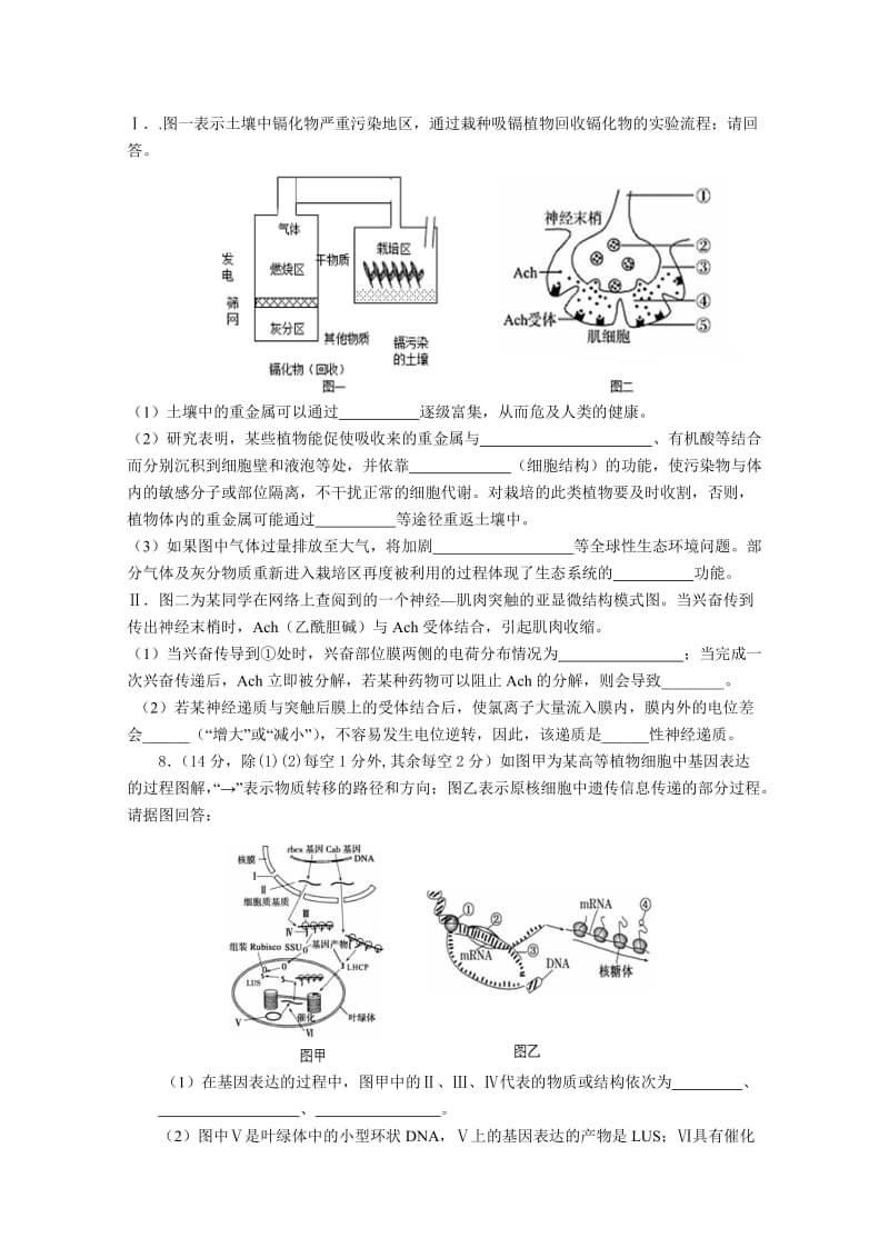 2019-2020年高三4月月考 生物 含答案.doc_第3页