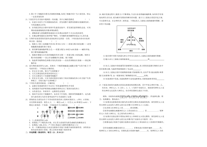 2019-2020年高三生物模拟试卷(VI).doc_第3页