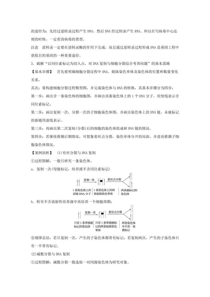 2019-2020年高考生物二轮复习 考前三个月 专题4 遗传的分子基础 考点14 理清遗传信息的传递和表达过程及数量关系.doc_第2页