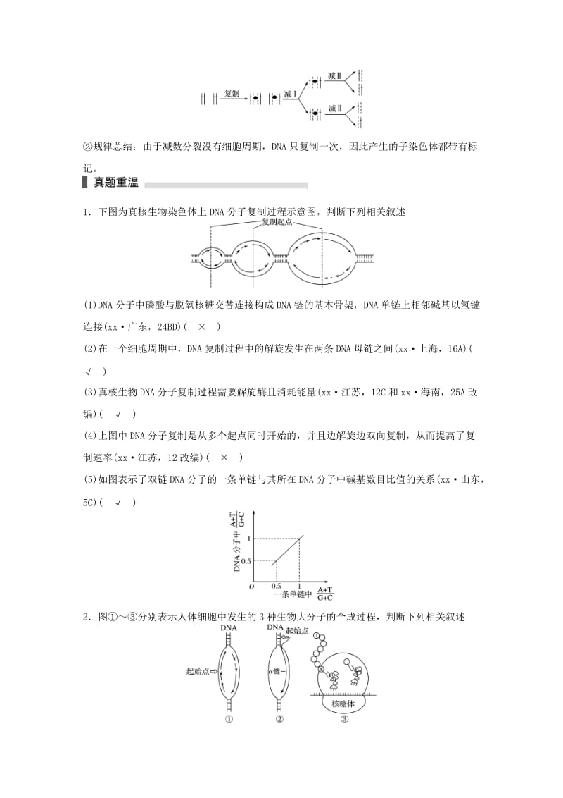 2019-2020年高考生物二轮复习 考前三个月 专题4 遗传的分子基础 考点14 理清遗传信息的传递和表达过程及数量关系.doc_第3页