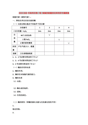 2019-2020年高考生物一輪 細胞的能量供應和利用專題教案.doc