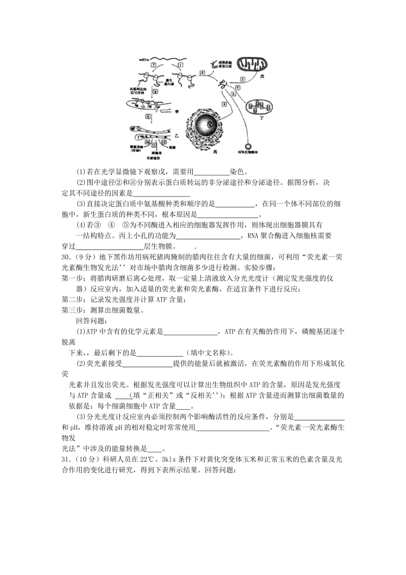 2019-2020年高三生物上学期10月月考试题(V).doc_第2页