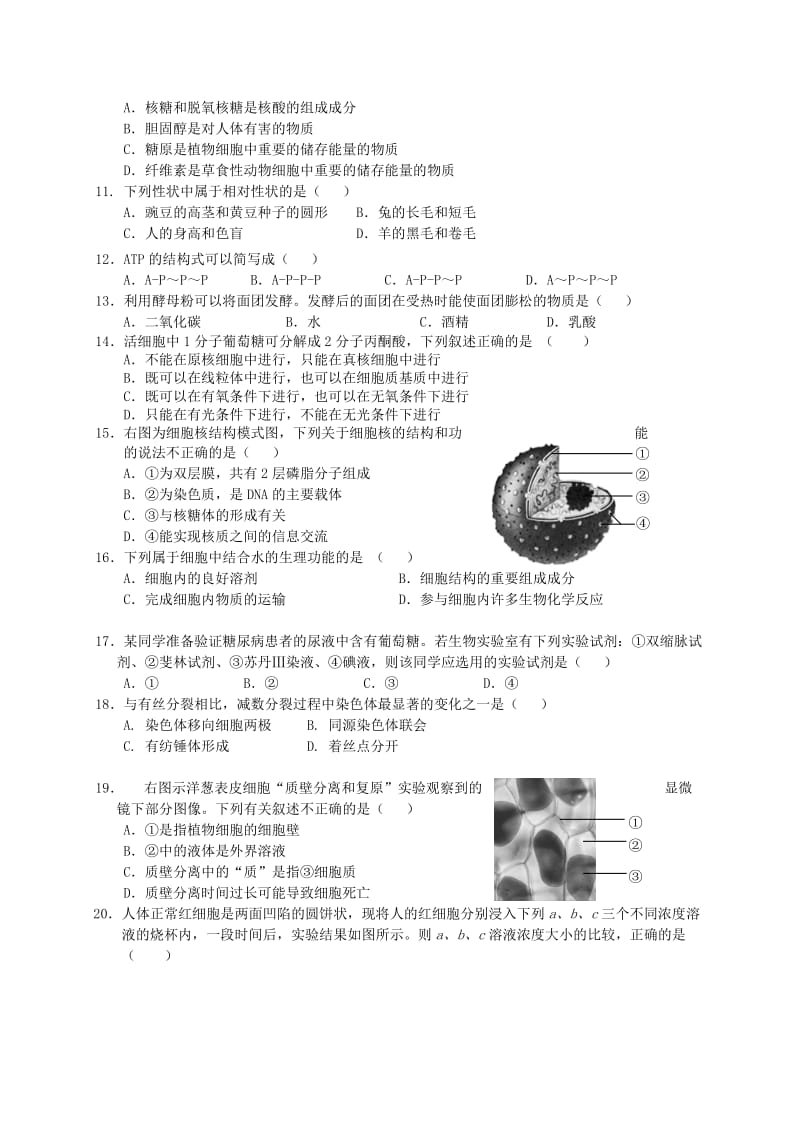 2019-2020年高一理综下学期期中试题.doc_第2页