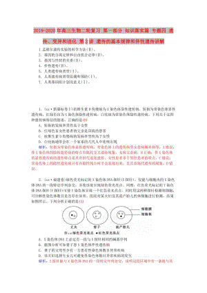 2019-2020年高三生物二輪復(fù)習(xí) 第一部分 知識(shí)落實(shí)篇 專題四 遺傳、變異和進(jìn)化 第2講 遺傳的基本規(guī)律和伴性遺傳講解.doc