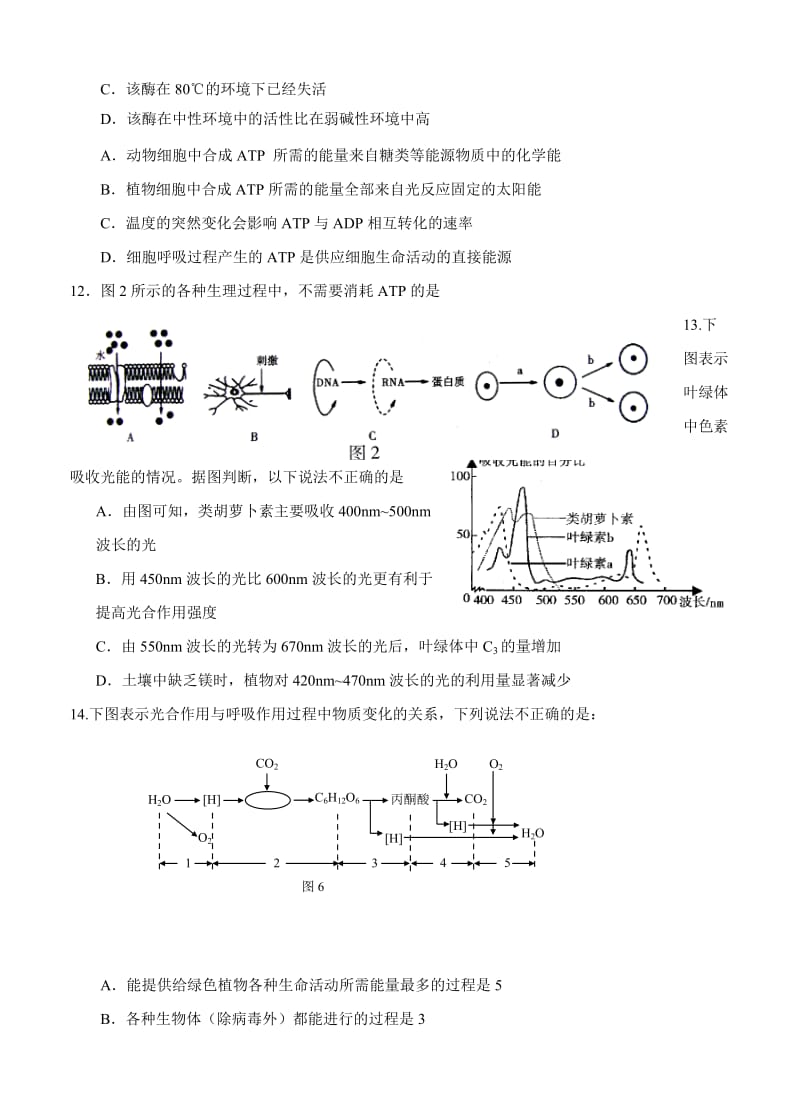 2019-2020年高三第一学期期中测试生物试卷.doc_第3页