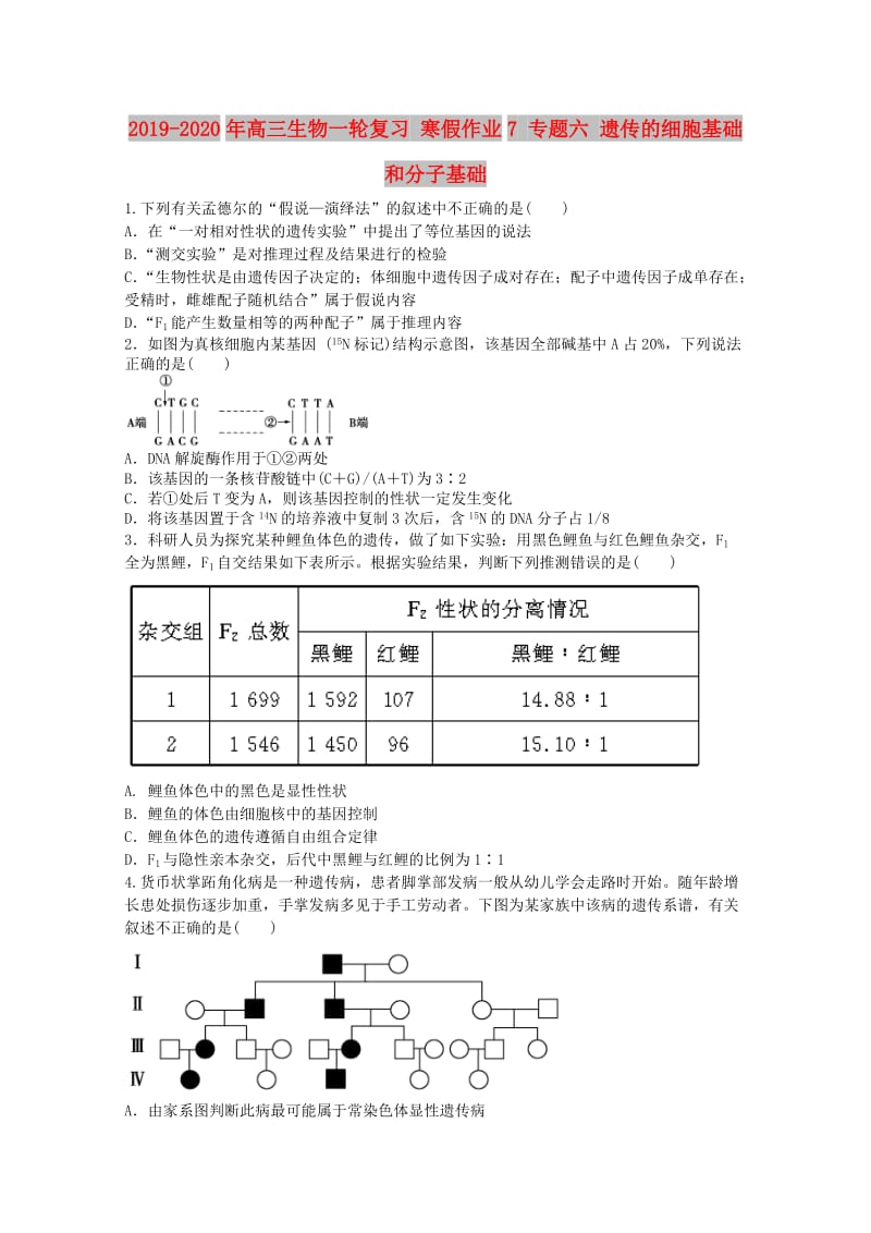 2019-2020年高三生物一轮复习 寒假作业7 专题六 遗传的细胞基础和分子基础.doc_第1页