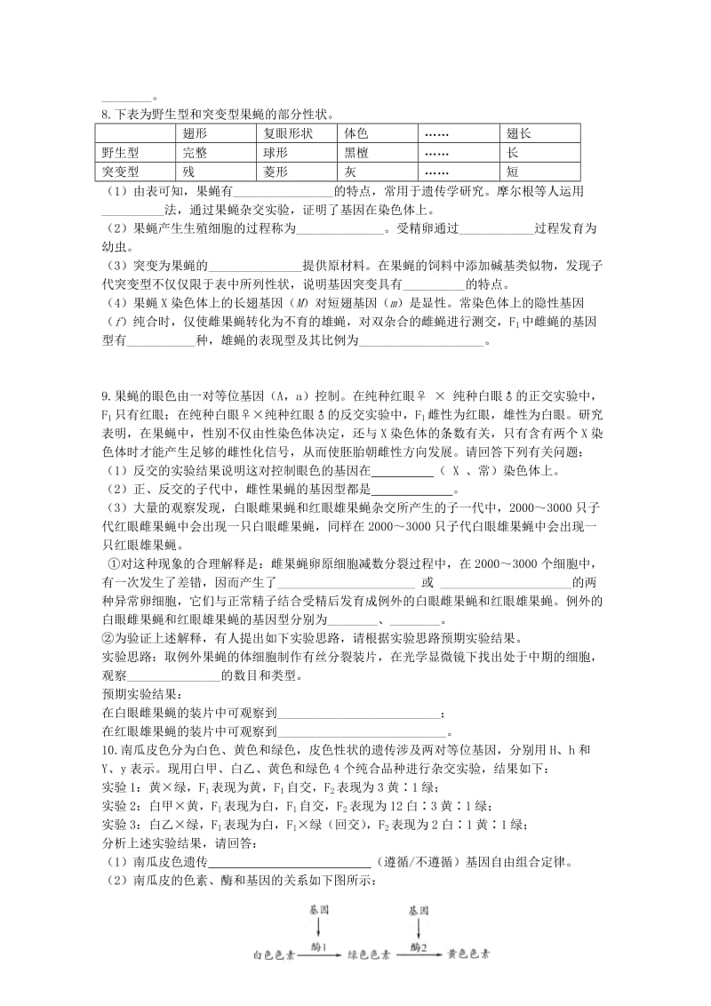 2019-2020年高三生物一轮复习 寒假作业7 专题六 遗传的细胞基础和分子基础.doc_第3页