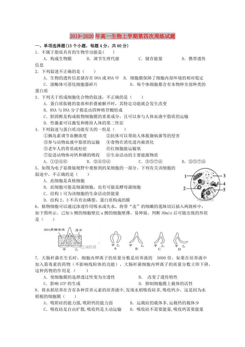 2019-2020年高一生物上学期第四次周练试题.doc_第1页